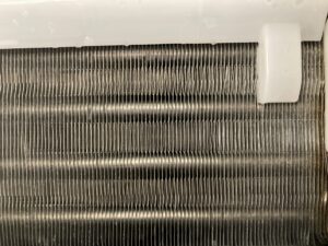 日立,RAS-D22NBK(W),エアコン,エアコンクリーニング,猫,ペット,カビ