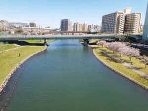 江戸川区,お出かけスポット