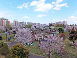 江戸川区,お出かけスポット