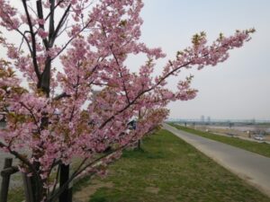 江戸川区,お出かけスポット
