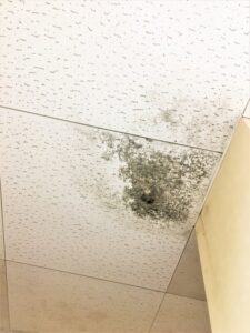 <p class="uw-mb">カビは、私たちの生活空間に潜む見えない脅威であり、その影響は健康や財産に大きなリスクをもたらすことがあります。多くの人々が見過ごしがちなこの問題は、適切な知識と対処法を持つことで、未然に防ぐことが可能です。本記事では、カビの基礎知識から始まり、カビがもたらす健康や経済的な影響について詳しく解説します。さらに、効果的な予防策や万が一カビが発生してしまった際の対処法も紹介し、読者が自身の生活環境を守るための具体的な対策を学べる内容となっています。この情報をしっかり把握することで、あなたの健康や住まいを守る手助けとなるでしょう。</p>
<h2 class="uw-mb"><span class="deco_A" data-name="uc-wr" data-keyword="">カビの基礎知識</span></h2>
<p class="uw-mb">カビは、真菌の一種であり、自然界に広く存在しています。一般的には肉眼では見えない微細な胞子として空気中を漂っており、湿度がある環境で増殖します。カビは有機物を分解する役割を持ち、自然界において重要な生態系の一部ですが、私たちの生活環境においては多くの問題を引き起こす原因となります。カビの発生は、見た目の不快さだけでなく、健康や財産にも悪影響を及ぼすため、その仕組みと対策を知ることが重要です。</p>

<h3 class="uw-mb"><span class="deco_B">カビとは何か</span></h3><p class="uw-mb">カビは、細胞壁を持つ菌類であり、基本的に顕花植物や動物の死骸、さらには、土や木材などの有機物を分解して栄養を吸収します。主に湿気の多い場所で見られ、繁殖する際には胞子を散布します。これらの胞子は、空気中に漂うことで新たな環境での繁殖を可能にします。カビにはさまざまな種類があり、それぞれ異なる特性を持っています。例えば、青カビや黒カビ、粉カビなどは、見かけ上の違いだけでなく、発生する環境やリスクも異なります。</p>

<h3 class="uw-mb"><span class="deco_B">カビが繁殖する環境</span></h3><p class="uw-mb">カビが繁殖しやすい環境は、高温多湿であり、栄養源となる有機物がある場所です。特に、梅雨時や冬季の暖房が効いた室内などは、湿度が高くなるためカビの発生リスクが高まります。また、水漏れや結露がある場所、換気が不十分な空間もカビの繁殖を助長します。一般的に、湿度が60％以上になるとカビが繁殖しやすいと言われています。こうした条件を避けることで、カビの発生を防ぐことが可能です。</p><h2 class="uw-mb"><span class="deco_A" data-name="uc-wr" data-keyword="">カビのリスク</span></h2>
<p class="uw-mb">カビは私たちの生活に潜む隠れた脅威です。見えないところで成長し、さまざまなリスクを引き起こします。この章では、カビが健康に与える影響と、家庭や財産に及ぼす損害について詳しく見ていきます。</p>

<h3 class="uw-mb"><span class="deco_B">健康への影響</span></h3><p class="uw-mb">カビは空気中に放出される微細な胞子を通じて体に侵入します。これにより、アレルギー反応や呼吸器系の問題を引き起こすことがあります。特に、喘息やアレルギー体質の人々は、カビの影響を強く受けやすいです。カビの胞子に対するアレルギー反応には、くしゃみ、鼻水、目のかゆみといった症状が含まれます。さらに、長期間にわたってカビにさらされることで、慢性肺疾患や免疫系の低下も引き起こされるリスクがあります。</p>
<p class="uw-mb">特に注意が必要なのは、黒カビ（Stachybotrys chartarum）です。黒カビは特に有害で、喘息や肺出血、場合によっては神経系障害などの深刻な健康問題を引き起こすことがあります。これは、カビが放出するマイコトキシンが原因です。これらのトキシンは、人体に有害な影響を与え、重篤な健康問題をもたらす可能性があります。</p>

<h3 class="uw-mb"><span class="deco_B">家庭や財産への影響</span></h3><p class="uw-mb">カビのリスクは健康面だけではありません。家庭や財産にも重大な影響を及ぼします。カビが繁殖することで、壁や天井に黒ずみや染みを作り、見た目の問題を引き起こします。さらに、カビは建材を劣化させ、ひび割れや腐敗を引き起こす要因となります。これにより、家の価値が減少する可能性があります。</p>
<p class="uw-mb">特に湿気が多い場所においては、カビの成長が速く、家庭の設備や家具にも影響を与えることがあります。例えば、木製の家具やFloorsはカビによって劣化し、修理や交換を余儀なくされることがあります。また、カビの存在は、売却時や家の評価時にマイナス要因となることもあり、さまざまな経済的損失を引き起こします。</p>
<p class="uw-mb">したがって、カビ対策を講じることは、単に健康を守るだけでなく、家庭や資産の保護にもつながります。適切な対策を講じることで、リスクを低減し、安心して暮らす環境を整えることができます。</p><h2 class="uw-mb"><span class="deco_A" data-name="uc-wr" data-keyword="">カビの対処法</span></h2>
<p class="uw-mb">カビは湿度が高く、温かい環境で繁殖します。家庭においてカビを防ぐためには、まずその特性を理解し、適切な対策を講じることが重要です。この章では、カビの予防策と発生時の対処法について詳しく解説します。</p>

<h3 class="uw-mb"><span class="deco_B">予防策</span></h3><p class="uw-mb">カビを防ぐための予防策は、主に湿度管理と清掃が鍵を握ります。湿度は50%以下に保つことが推奨されており、これを実現するためにエアコンや除湿機を活用することが大切です。また、定期的に換気を行い、外部からの湿気の侵入を防ぐことも重要です。特に、キッチンやバスルームなど水回りは特に湿気が溜まりやすいため、注意が必要です。</p>
<p class="uw-mb">加えて、掃除を定期的に行い、埃やカビの栄養源となる汚れを取り除くことが必要です。特に、浴室のタイルやカーテンの隙間はカビが発生しやすいスポットですので、適切な洗剤を用いてきれいに保ちましょう。また、カビ防止のための塗料やクロスを使用するのも効果的です。具体的には、カビ防止剤を含んだ塗料や、抗カビ性のある壁紙を選ぶことで、施工後のカビ発生を抑制することが期待できます。</p>
<p class="uw-mb">さらに、ストレージエリアやクローゼットなども注意が必要です。衣類や布製品は通気性の良い場所で保管し、湿気が溜まらないようにすることが重要です。湿気を吸収するシリカゲルや重曹を使うことも有効です。定期的にこれらのアイテムを入れ替えることで、より効果的に湿気を管理できます。</p>

<h3 class="uw-mb"><span class="deco_B">発生時の対処法</span></h3><p class="uw-mb">万が一、カビが発生してしまった場合は、迅速かつ適切に対処することが重要です。まず、カビの生えている場所を特定し、必要に応じてその部分の湿度を下げるための措置を講じましょう。湿度計を使用して、湿度が高い状態であることを確認できたら、換気や除湿を行います。また、カビの発生した箇所にはマスクや手袋を着用して、直接触れないようにしましょう。</p>
<p class="uw-mb">具体的な除去方法としては、カビ取り専用の洗剤や漂白剤を用いると効果的です。カビがしっかりと付着している場合は、スプレー後に数分間放置し、その後にブラシでしっかりとこすり洗いを行います。ただし、漂白剤を使用する際は、色落ちのある素材に対しては注意が必要です。</p>
<p class="uw-mb">小さな面積の場合は、カビ取り用のペーストを作成することも可能です。重曹と水を混ぜてペースト状にし、カビの部分に塗布します。その後、ブラシでこすり、しっかりと水拭きして表面を清潔に保ちます。しかし、広範囲にわたるカビの発生が見られる場合は、自分で対処せずに専門業者に依頼することが推奨されます。専門業者は、劣悪な状態のカビを適切に処理し、再発防止のための対策も講じることができます。</p>
<p class="uw-mb">カビの発生を抑えるためには、上述した予防策を常に意識し、実践することが重要です。健康や財産を守るために、カビ対策を怠らないようにしましょう。</p>