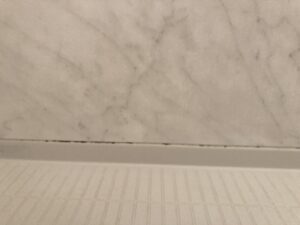 酸素系漂白剤,塩素系漂白剤,掃除,ゴムパッキン